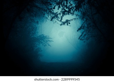 The pathway through the dark foggy forest among the lush growth. Hazy perspective, framed by dense forest foliage. - Shutterstock ID 2289999545