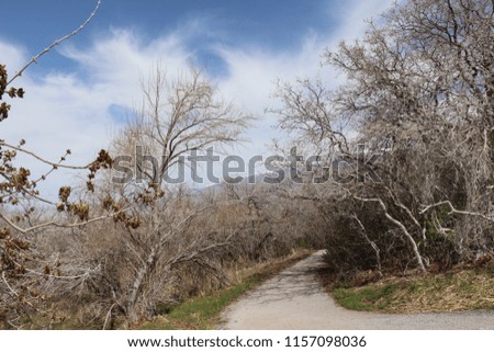 A pathway through some weird gnarly trees on a hill in North Salt Lake City Utah
