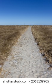 Pathway Through Winter Sand Dune, Crane Beach, Ipswich North Shore Boston, Massachusetts