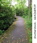 pathway through the woods