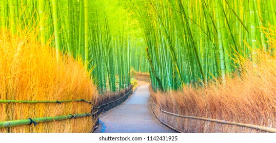 Pathway Throughout Bamboo Tree Tunnel Bamboo Stock Photo 1142431925