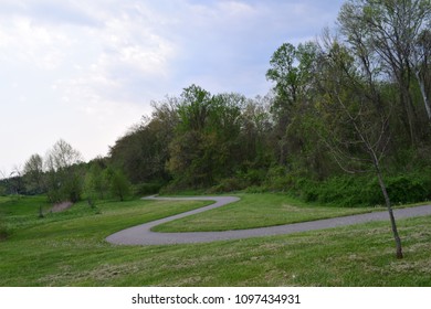 The Pathway to trees
