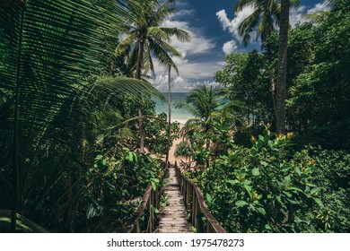 Pathway in tropical jungle. Way to beach Palm trees, white sand and blue sea, perfect summer vacation landscape or holiday banner. Beautiful tourism destination Phuket