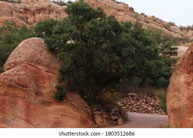 Pathway under trees through red rock boulders