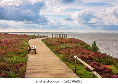 Pathway to viewing platform at Morsum-Cliff Natural reserve on the island Sylt, Germany - Powered by Shutterstock