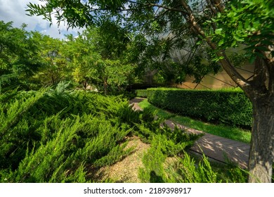 Pathway For Walking In Rike Park In Old Tbilisi