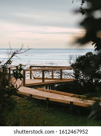 Pathways Between Trees Towards the Ocean