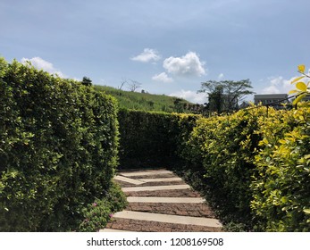 Pathways in the park
