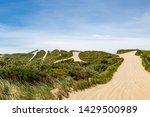 Pathways through sand dunes at Oregon Dunes National Recreation Area, on a summers day