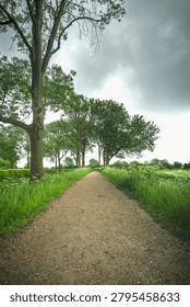 Pathways through verdant fields under a muted sky, evoking a sense of serene natural beauty and quiet contemplation.