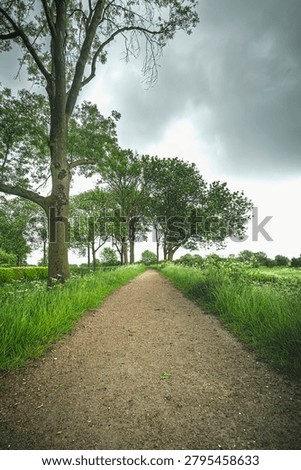 Pathways through verdant fields under a muted sky, evoking a sense of serene natural beauty and quiet contemplation.