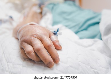 Patient Asian Elder Women 80s Flu Covid19 On Patient Bed With Incontinent Pad And Elderly Patient Hand In Intensive Care Unit (ICU.) Room At Hospital In Concept Healthcare In Life