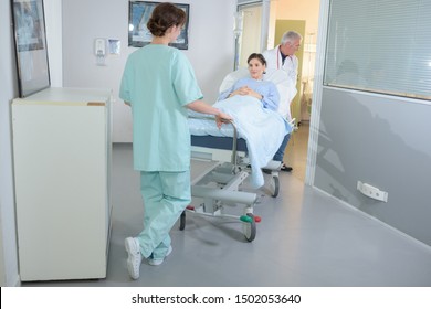 Patient Being Wheeled On Hospital Stretcher