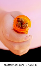 Patient Holds Dried Medical Marijuana Buds In A Prescription Bottle