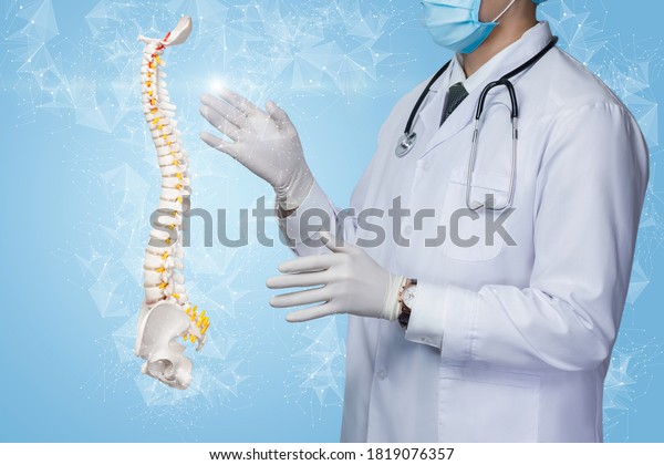 Patient spine\
research treatment concept. Doctor works with a mock up of the\
spine on a blue background on the\
net.