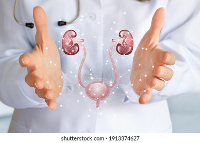 Patient Urinary System Support And Treatment Concept.