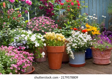 Patio area surrounded by various colourful potted plants. Container gardening ides. - Powered by Shutterstock