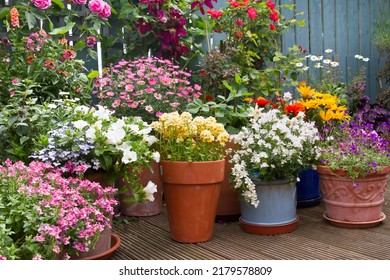 Patio Area Surrounded By Various Colourful Potted Plants. Container Gardening Ides.