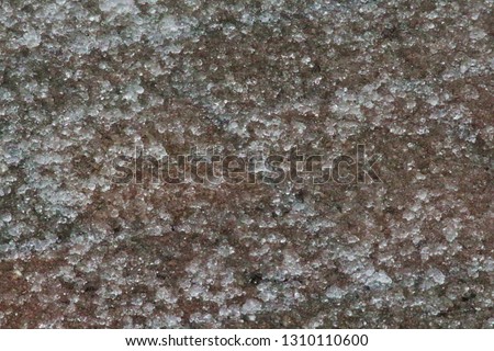 Patio bricks covered in a layer of sleet after an ice storm in Wisconsin, USA