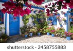 Patio in Cordoba with white walls and a lot of flowers.