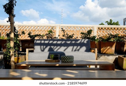 Patio. Garden. Urban, Neutral, Outdoor Living Space. Exterior Photo. Outdoor Living Room With Couch, Comfy Cushions, Throw Pillows, Love Seat, Chairs And Coffee Table. Backyard With Greenery, Plants.