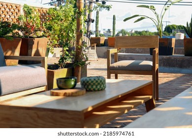 Patio. Garden. Urban, Neutral, Outdoor Living Space. Exterior Photo. Outdoor Living Room With Couch, Comfy Cushions, Throw Pillows, Love Seat, Chairs And Coffee Table. Backyard With Greenery, Plants.