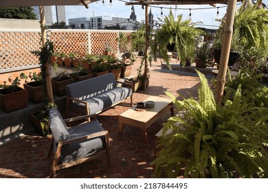 Patio. Garden. Urban, Neutral, Outdoor Living Space. Exterior Photo. Outdoor Living Room With Couch, Comfy Cushions, Throw Pillows, Love Seat, Chairs And Coffee Table. Backyard With Greenery, Plants.