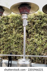 Patio Heater In Restaurant With Green Bamboo Hedge Behind It