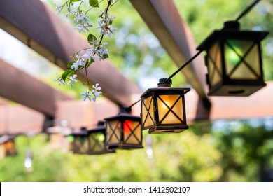 Patio outdoor spring garden in backyard of home with closeup of lantern lamps lights hanging from pergola canopy wooden gazebo and plants white flowers