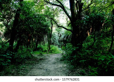 Patna Bird Sanctuary Is A Protected Area In Uttar Pradesh's Etah District Encompassing A Lentic Lake That Is An Important Wintering Ground For Migrating Birds