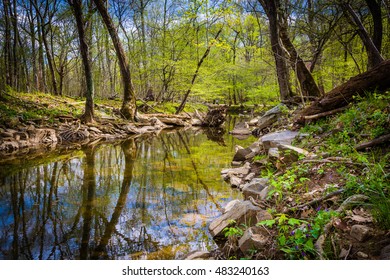 The Patowmack Canal At Great Falls Park, Virginia.