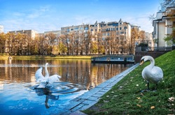 Patriarch's Ponds On An Autumn Sunny Day And White Swans, Moscow
