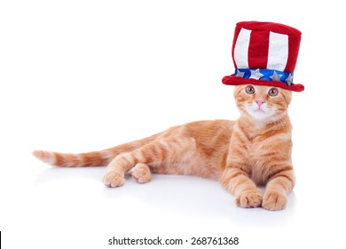 Patriotic American Pet Cat Wearing Uncle Sam Hat For 4th Of July Or Memorial Day. Fourth Of July Or Labor Day.