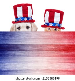 Patriotic American Pet Labrador puppy dog and kitten cat animal over red, white, blue sign for July 4th 4 fourth flag patriot party invite, Memorial Labor President Day sale flyer or USA vote poster