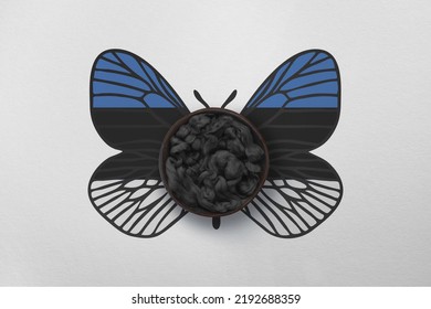 Patriotic Background With Butterfly Wings In Colors Of National Flag. Photography And Marketing Digital Backdrop. Estonia