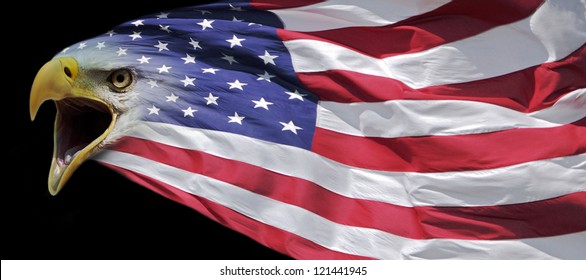 Patriotic Bald Eagle And Us Flag Banner