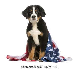 Patriotic Dog Sitting With American Flag