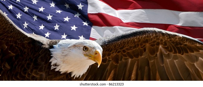 patriotic eagle taking wing in front of US flag
