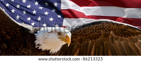 patriotic eagle taking wing in front of US flag