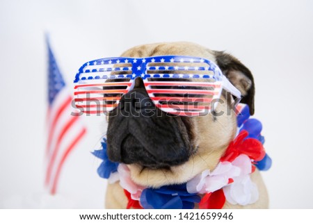 Patriotic Pug wearing American flag sunglasses