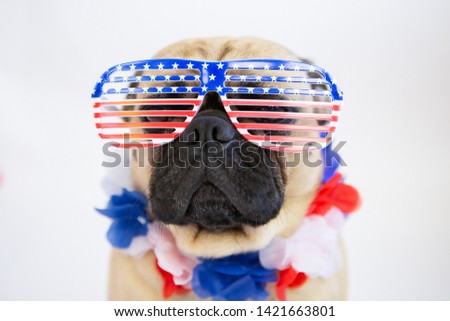 Patriotic pug wearing American Flag sunglasses