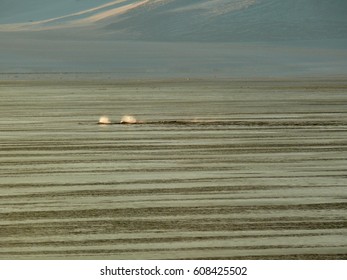 Patrolling Orcas McMurdo Sound