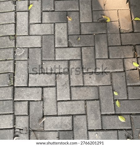 The patter of rectangle paving block for path