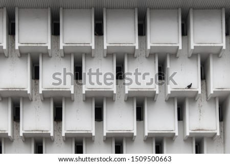 Pattern Architecture with silhoueete bird
