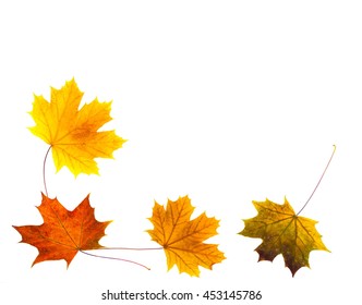 Pattern of autumn colorful leaves, yellow leaves, white background, lay flat, the top view - Shutterstock ID 453145786