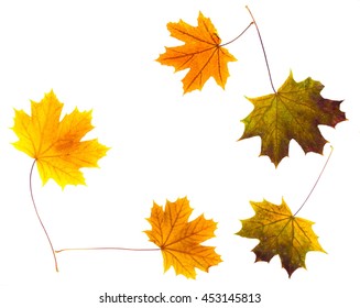 Pattern of autumn colorful leaves, yellow leaves, white background, lay flat, the top view - Shutterstock ID 453145813