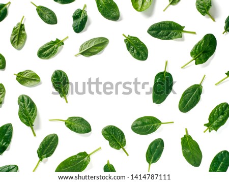 Pattern from baby spinach leaves with copy space in center. Fresh green baby spinach isolated on white with clipping path. Top view or flat lay. Can use for design vegan and keto diet