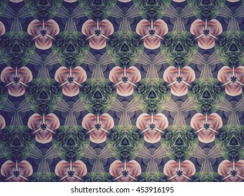 Pattern Background Color Stock Photo 453916195 | Shutterstock