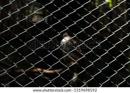 Similar – Image, Stock Photo neighbouring garden