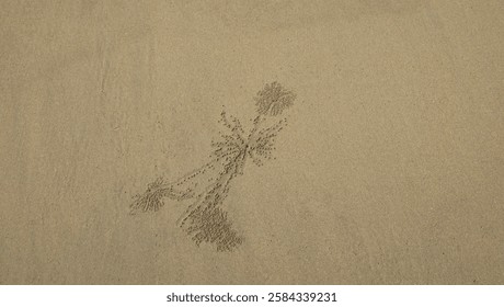 pattern and background on the sandbeach 